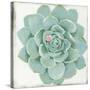 Pastel Succulent I-Aimee Wilson-Stretched Canvas