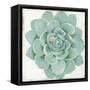 Pastel Succulent I-Aimee Wilson-Framed Stretched Canvas