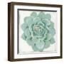 Pastel Succulent I-Aimee Wilson-Framed Art Print