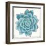 Pastel Succulent II-Aimee Wilson-Framed Art Print