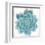 Pastel Succulent II-Aimee Wilson-Framed Art Print