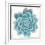 Pastel Succulent II-Aimee Wilson-Framed Art Print