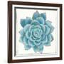 Pastel Succulent II-Aimee Wilson-Framed Art Print