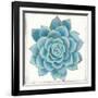 Pastel Succulent II-Aimee Wilson-Framed Art Print