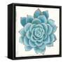 Pastel Succulent II-Aimee Wilson-Framed Stretched Canvas