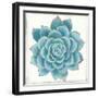 Pastel Succulent II-Aimee Wilson-Framed Art Print