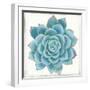 Pastel Succulent II-Aimee Wilson-Framed Art Print