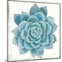 Pastel Succulent II-Aimee Wilson-Mounted Art Print