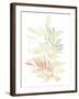 Pastel Tropics II-June Vess-Framed Art Print