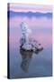 Pastel Tufa-Lance Kuehne-Stretched Canvas