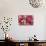 Pastel Wedding Flowers-Studio Porto Sabbia-Photographic Print displayed on a wall