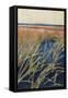 Pastel Wetlands I-Suzanne Wilkins-Framed Stretched Canvas