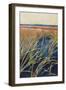Pastel Wetlands I-Suzanne Wilkins-Framed Art Print