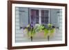 Pastel Windows IV-Laura DeNardo-Framed Photographic Print