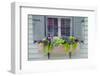 Pastel Windows IV-Laura DeNardo-Framed Photographic Print