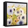 Pastels-Shirley Novak-Framed Stretched Canvas