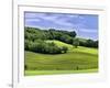 Pastoral Countryside II-Colby Chester-Framed Photographic Print