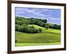 Pastoral Countryside II-Colby Chester-Framed Photographic Print