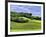 Pastoral Countryside II-Colby Chester-Framed Photographic Print