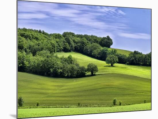 Pastoral Countryside II-Colby Chester-Mounted Photographic Print