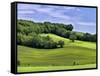 Pastoral Countryside II-Colby Chester-Framed Stretched Canvas
