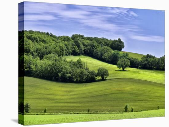 Pastoral Countryside II-Colby Chester-Stretched Canvas