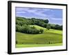 Pastoral Countryside II-Colby Chester-Framed Photographic Print