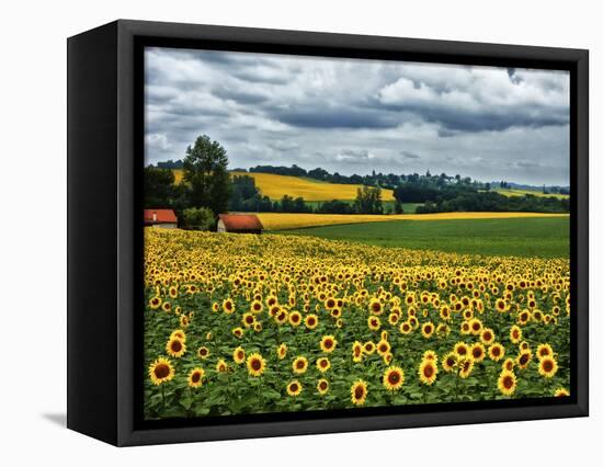 Pastoral Countryside IV-Colby Chester-Framed Stretched Canvas