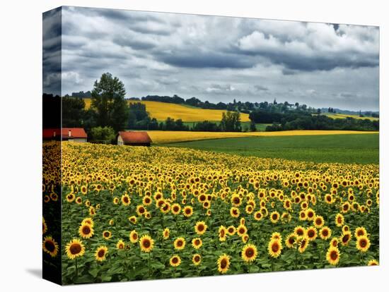 Pastoral Countryside IV-Colby Chester-Stretched Canvas