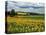 Pastoral Countryside IV-Colby Chester-Stretched Canvas