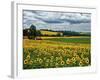 Pastoral Countryside IV-Colby Chester-Framed Photographic Print