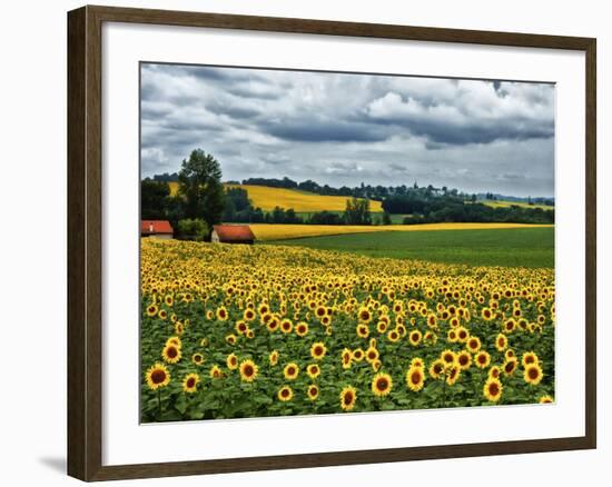 Pastoral Countryside IV-Colby Chester-Framed Photographic Print