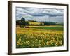 Pastoral Countryside IV-Colby Chester-Framed Photographic Print