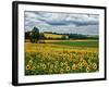 Pastoral Countryside IV-Colby Chester-Framed Photographic Print