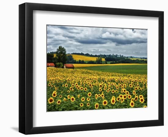 Pastoral Countryside IV-Colby Chester-Framed Photographic Print