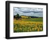 Pastoral Countryside IV-Colby Chester-Framed Photographic Print