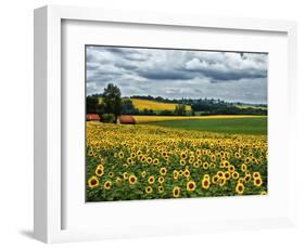 Pastoral Countryside IV-Colby Chester-Framed Photographic Print