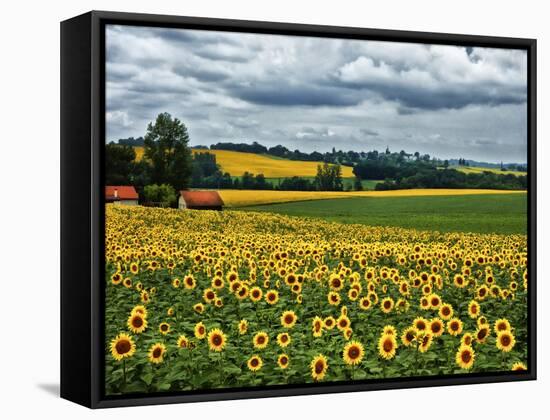 Pastoral Countryside IV-Colby Chester-Framed Stretched Canvas