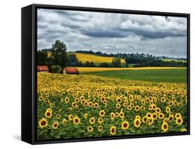 Pastoral Countryside IV-Colby Chester-Framed Stretched Canvas