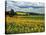 Pastoral Countryside IV-Colby Chester-Stretched Canvas