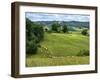 Pastoral Countryside V-Colby Chester-Framed Photographic Print