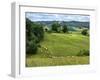 Pastoral Countryside V-Colby Chester-Framed Photographic Print