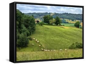 Pastoral Countryside V-Colby Chester-Framed Stretched Canvas