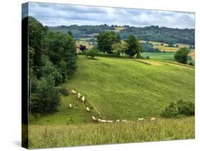 Pastoral Countryside V-Colby Chester-Stretched Canvas