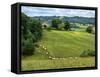 Pastoral Countryside V-Colby Chester-Framed Stretched Canvas