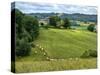 Pastoral Countryside V-Colby Chester-Stretched Canvas