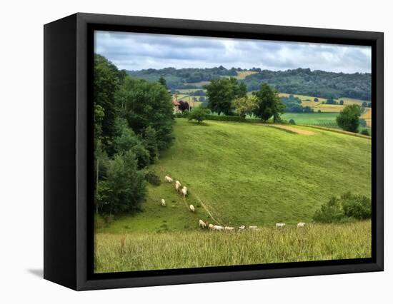 Pastoral Countryside V-Colby Chester-Framed Stretched Canvas