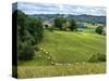 Pastoral Countryside V-Colby Chester-Stretched Canvas