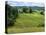 Pastoral Countryside V-Colby Chester-Stretched Canvas