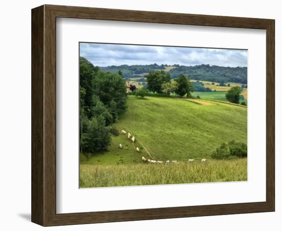 Pastoral Countryside V-Colby Chester-Framed Photographic Print